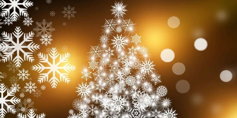 El equipo de CALIDA HOMES te desea una Feliz Navidad y un Próspero Año Nuevo 2024